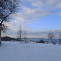 На побережье Ушаковского залива :: Маргарита Батырева