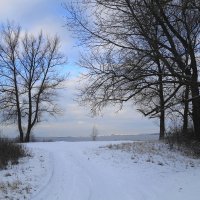 На побережье Ушаковского залива :: Маргарита Батырева