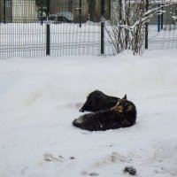 К теплу. :: Александр Кемпанен