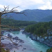 Слияние рек Катуни и Чемала :: Вера Андреева