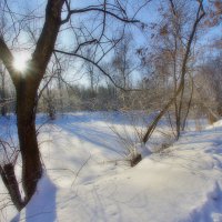 Зимние зарисовки :: Наталья Лакомова