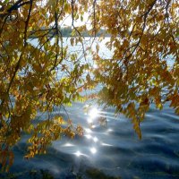Солнечные блики на воде. :: Зоя Чария