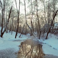 у ручья :: Любовь Миргородская