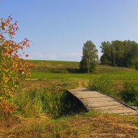 Теплый октябрь. :: Инна Щелокова