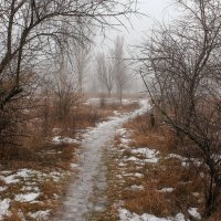 Туманный январь... :: Александр Фролов 