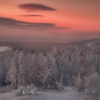 Уральская тайга на рассвете :: Fuseboy 