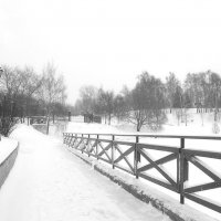 В снегу ... :: Лариса Корженевская