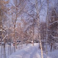 Зима в городе. :: Людмила Грибоедова 