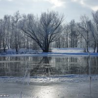 Волшебница зима. :: Роман Кривеженко