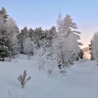 И снова январский лес :: Татьяна Соловьева