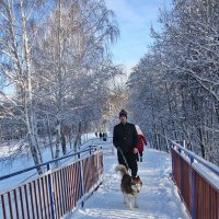 Зима в моем городе :: Лидия (naum.lidiya)