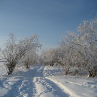 Зимняя дорога у Лены. Якутск. :: Anna Ivanova