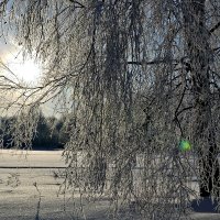 Январский день. :: Михаил Столяров