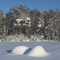 *** :: Александр Петров