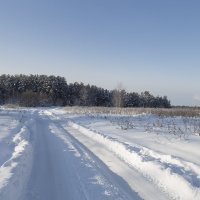 Зимняя дорога. :: Анатолий Грачев