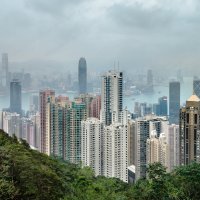 Гонконг с пика Виктория. :: Edward J.Berelet