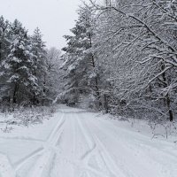 Во власти снега (из поездок по области) :: Милешкин Владимир Алексеевич 