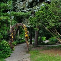 Ботанический сад Владивостока :: Лариса Крышталь 