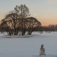 Птичий остров, Царицыно :: Владимир Брагилевский