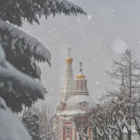 После снегрпада :: Василий Андерс