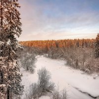 Зимний лес. :: Юлия Новикова