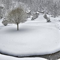 Урочище Гремячий ключ :: Александр Гурьянов