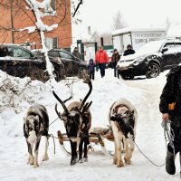 На работу. :: Татьяна Помогалова