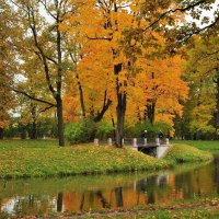 Александровский парк :: Лариса Крышталь 