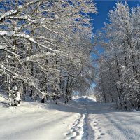 Зимний день :: Leonid Rutov