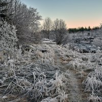 Вечер :: Игорь Иванов