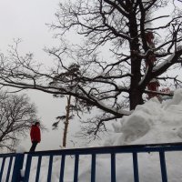 Был ли снегопад в Москве? (не фотомонтаж) :: Андрей Лукьянов