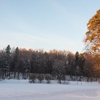 Верхний Царицынский пруд :: Владимир Брагилевский