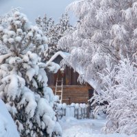 **** :: Анжела Пасечник