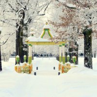 Зимой в Александровском парке  1 :: Сергей 