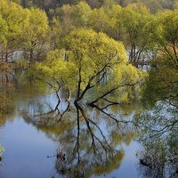 *** :: Владимир Фроликов