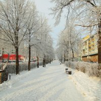 Аллея в снегу :: Григорий Азатян