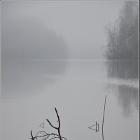 Туман над озером :: Николай Кувшинов