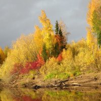 запах дождя :: Марина Власова