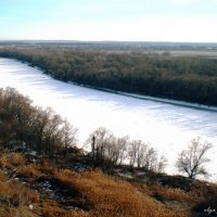 Ледяная Кубань :: Ольга Сельницына