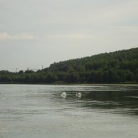 На озере Учалы :: Rim Bikmaev
