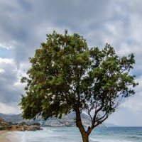 crete :: Andrey Volovich