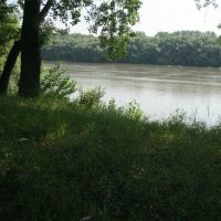Наводнение :: Елена Иванова