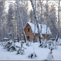 В зимнем парке городском :: galina tihonova