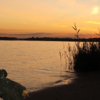 Пироговское водохранилище :: андрей громов