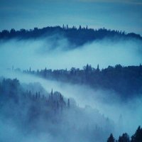 Туман :: Ксения Зиборова