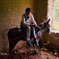 Мальчик с осликом, укрывшиеся от дождя (1) :: Alexei Kopeliovich