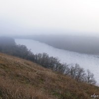 Туманный полдень :: Ольга Сельницына