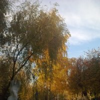 Золотая осень :: Дарья Яковлева