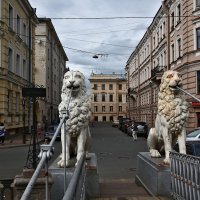 На страже :: Александр Бузуверов