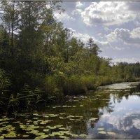 оз. Дикое :: Александр 